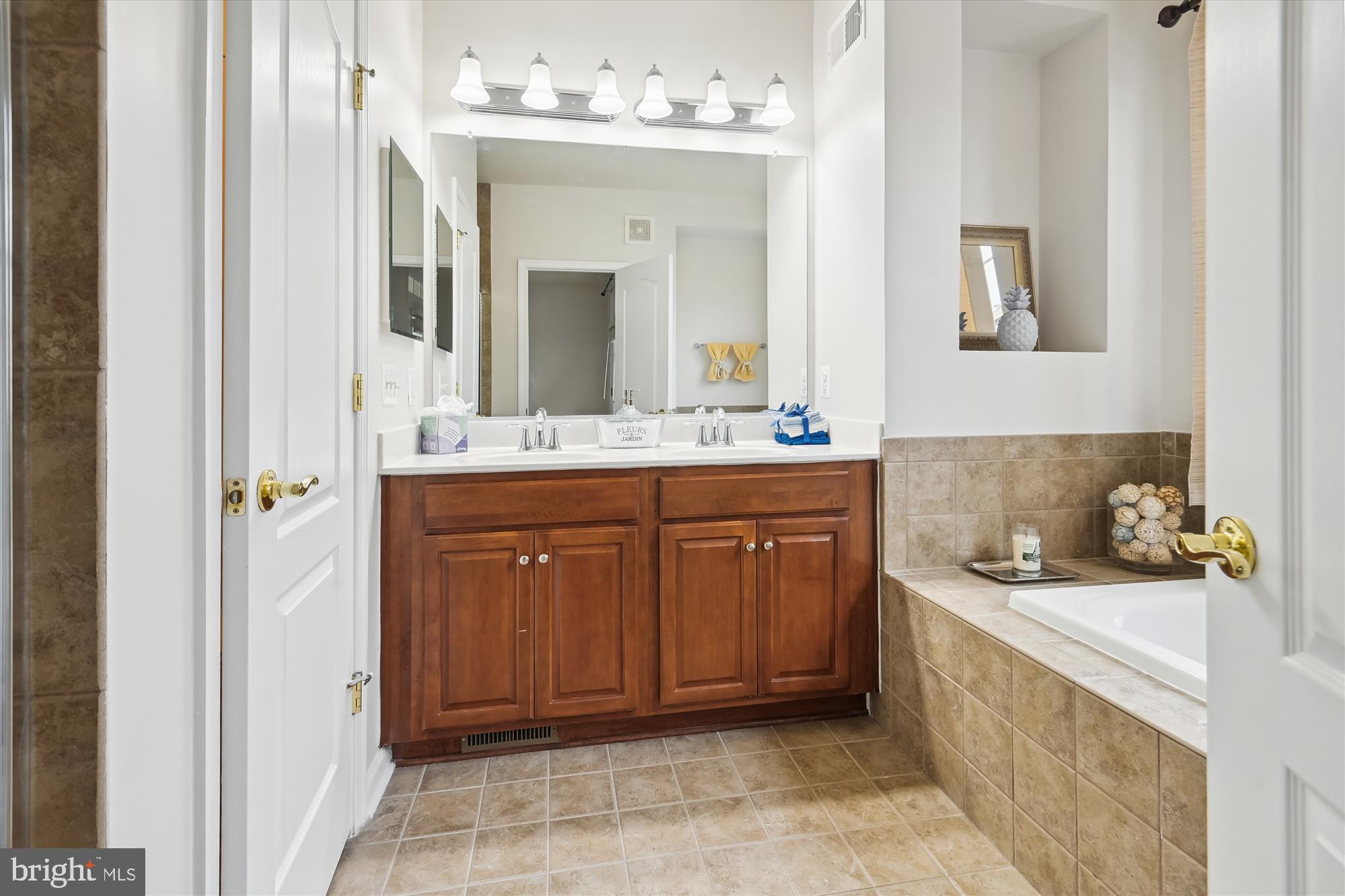 22678 Verde Gate Terrace Brambleton, VA 20148 - Photo 19 of 39 a spacious bathroom with a sink and a mirror