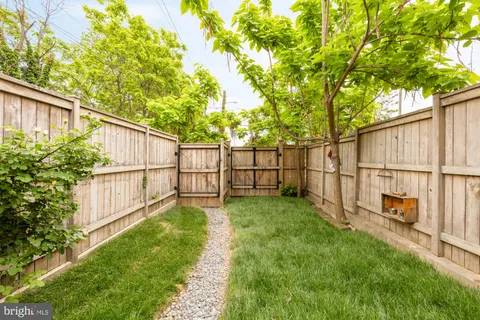 a view of backyard with wooden fence and a large tree