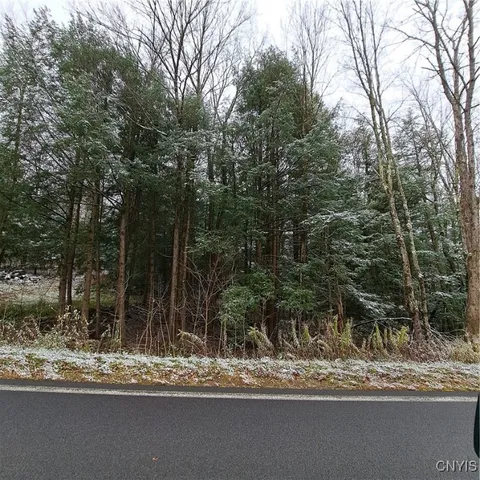 $74,900 | 0 County Rte 17A, Williamstown, NY 13493