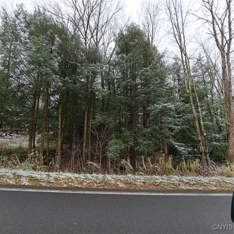 0 County Rte 17A Williamstown, NY 13493 - Photo 1 of 11