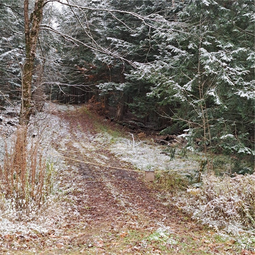 0 County Rte 17A Williamstown, NY 13493 - Photo 2 of 11