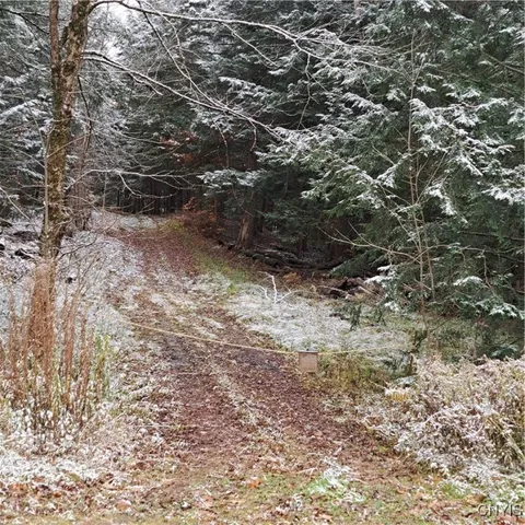 $74,900 | 0 County Rte 17A, Williamstown, NY 13493