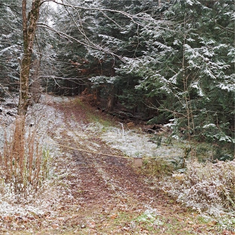 0 County Rte 17A Williamstown, NY 13493 - Photo 2 of 11