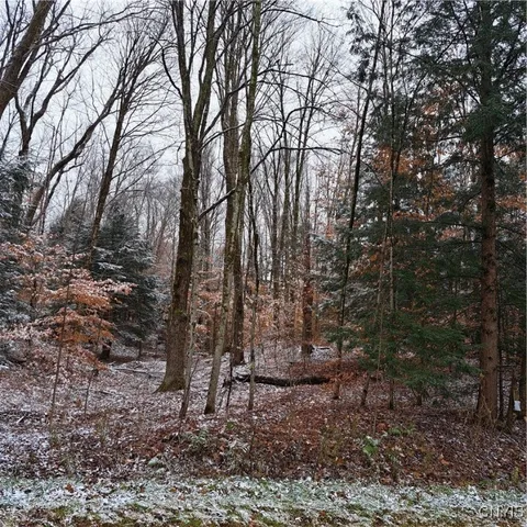 $74,900 | 0 County Rte 17A, Williamstown, NY 13493