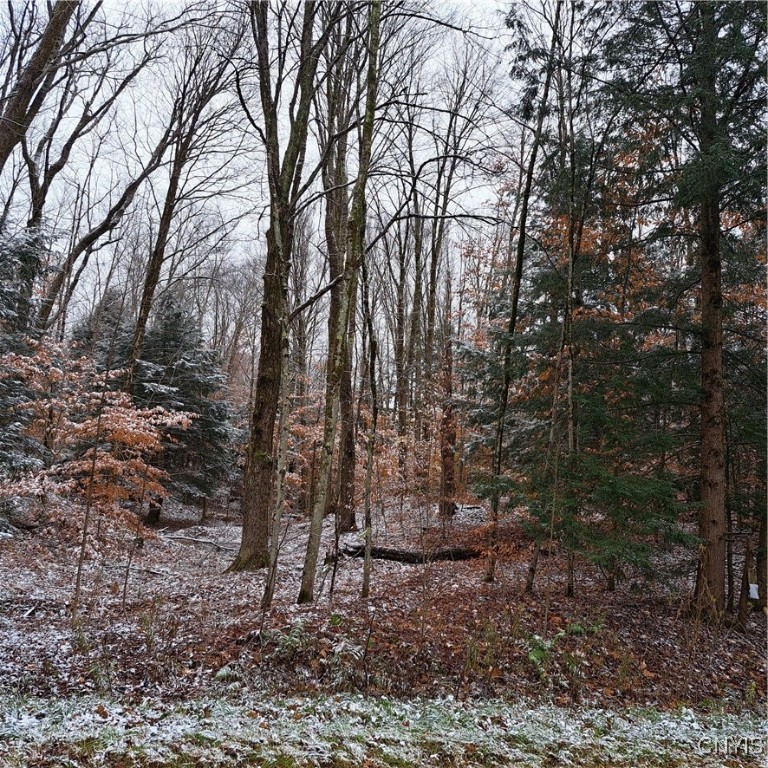 0 County Rte 17A Williamstown, NY 13493 - Photo 3 of 11