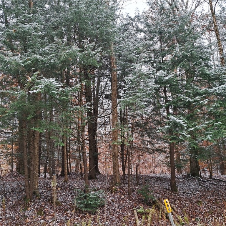 0 County Rte 17A Williamstown, NY 13493 - Photo 4 of 11