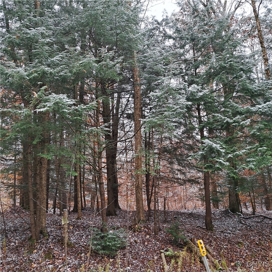 0 County Rte 17A Williamstown, NY 13493 - Photo 4 of 11