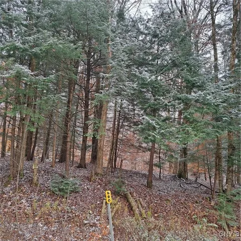$74,900 | 0 County Rte 17A, Williamstown, NY 13493