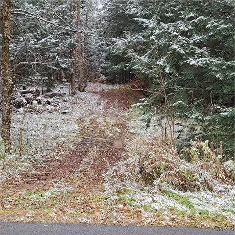 $74,900 | 0 County Rte 17A, Williamstown, NY 13493