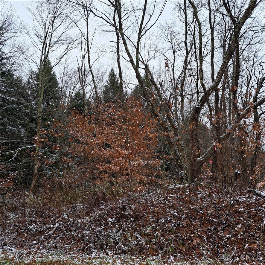 0 County Rte 17A Williamstown, NY 13493 - Photo 7 of 11