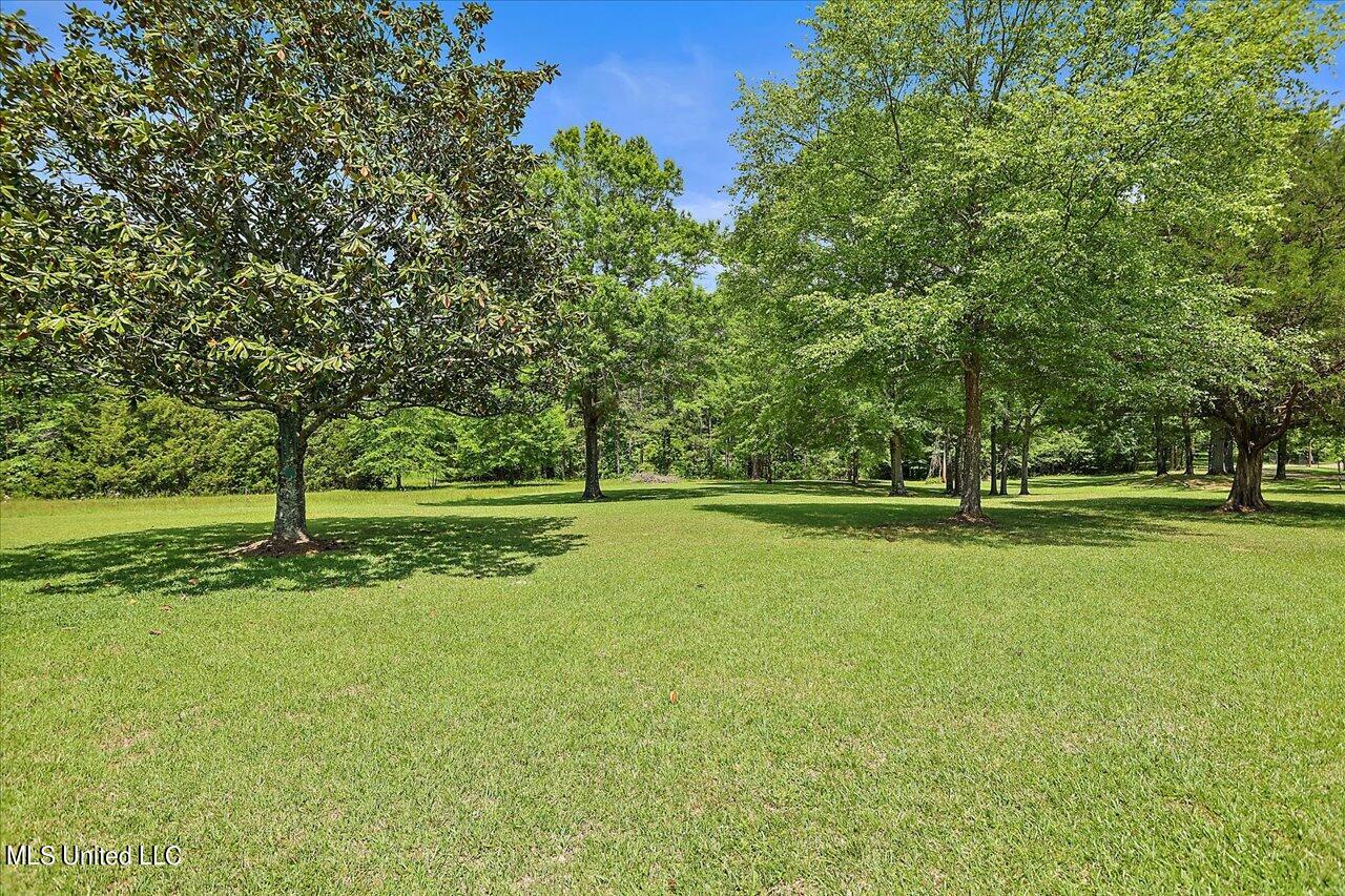 132 Wynndale Lake Road Terry, MS 39170 - Photo 28 of 33 39-132 Wynndale Lake Rd