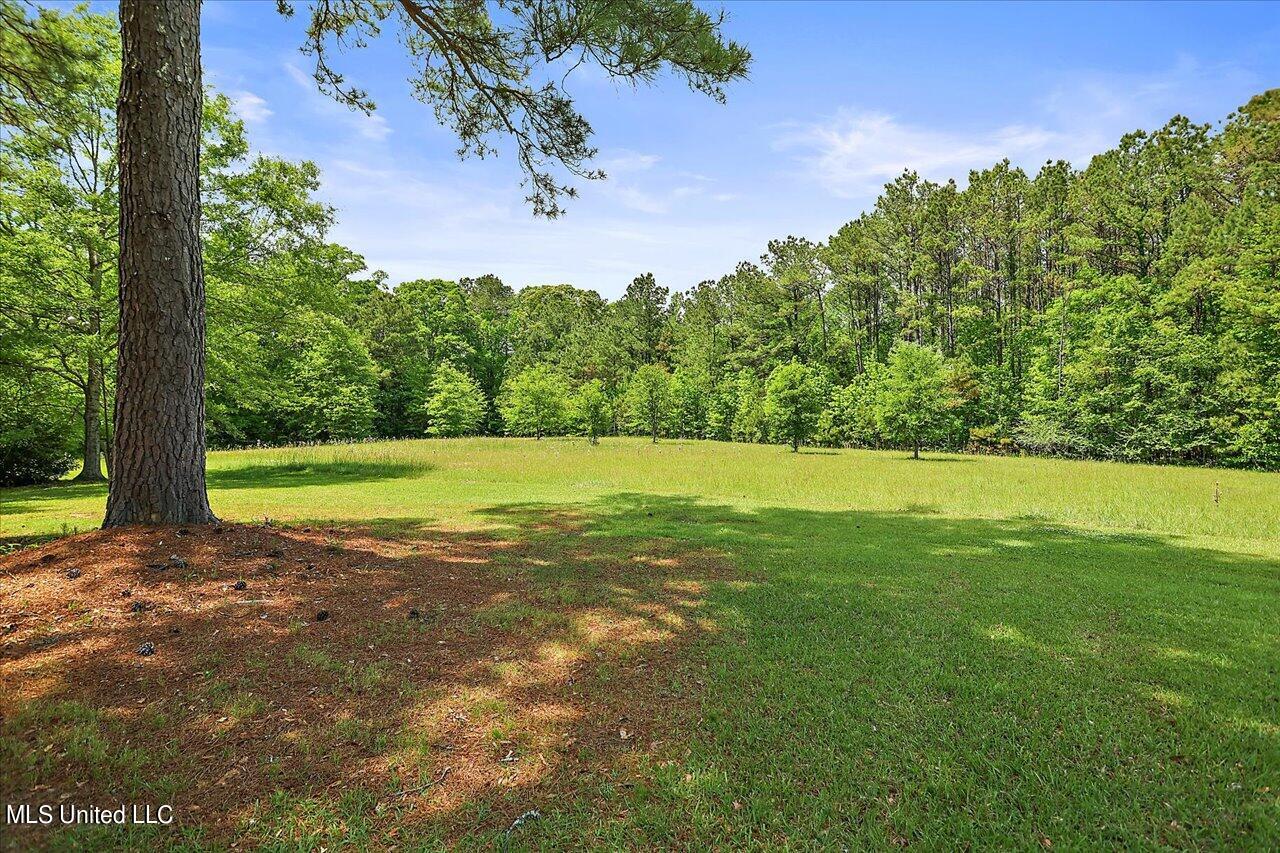 132 Wynndale Lake Road Terry, MS 39170 - Photo 8 of 33 43-132 Wynndale Lake Rd