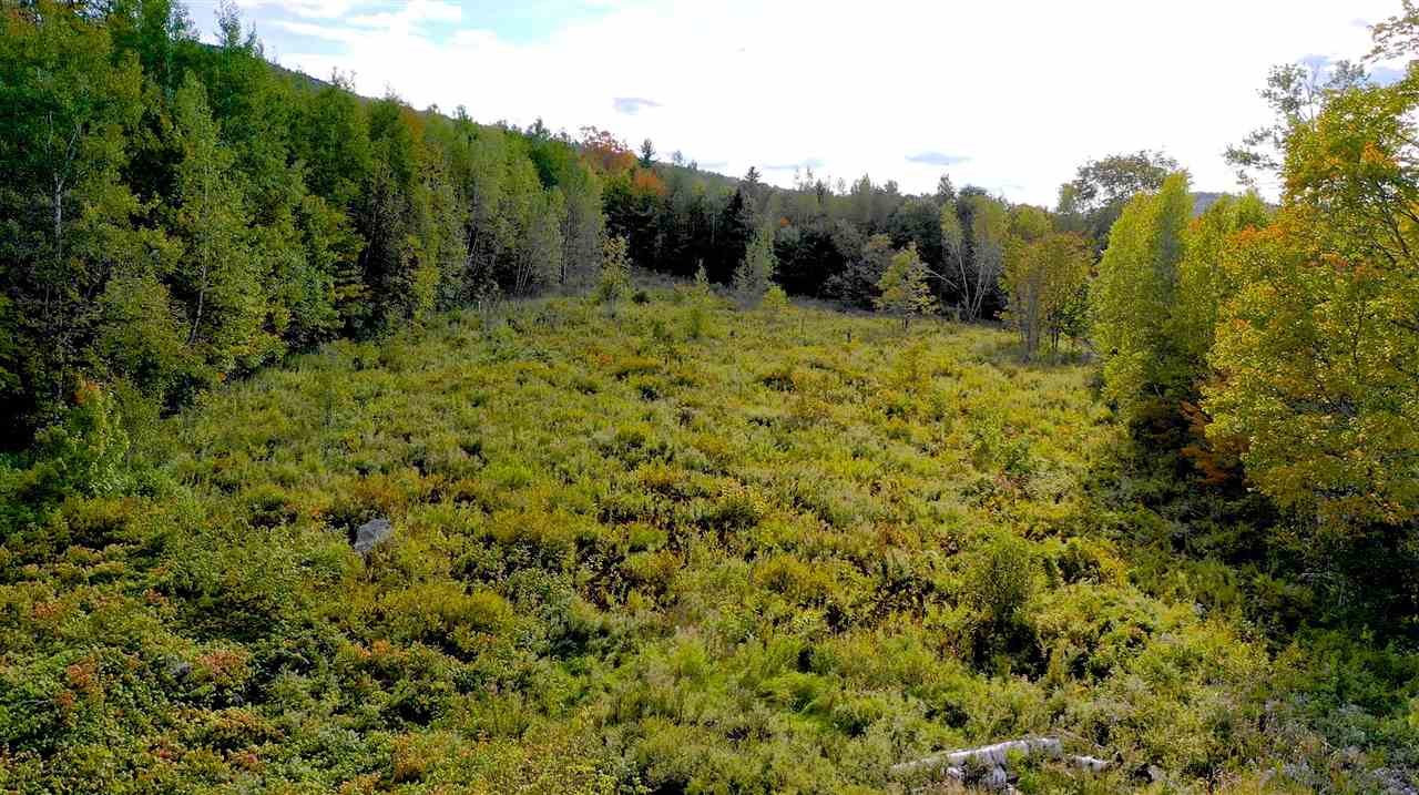 0 Dunlap Road Danbury, NH 03230 - Photo 11 of 11