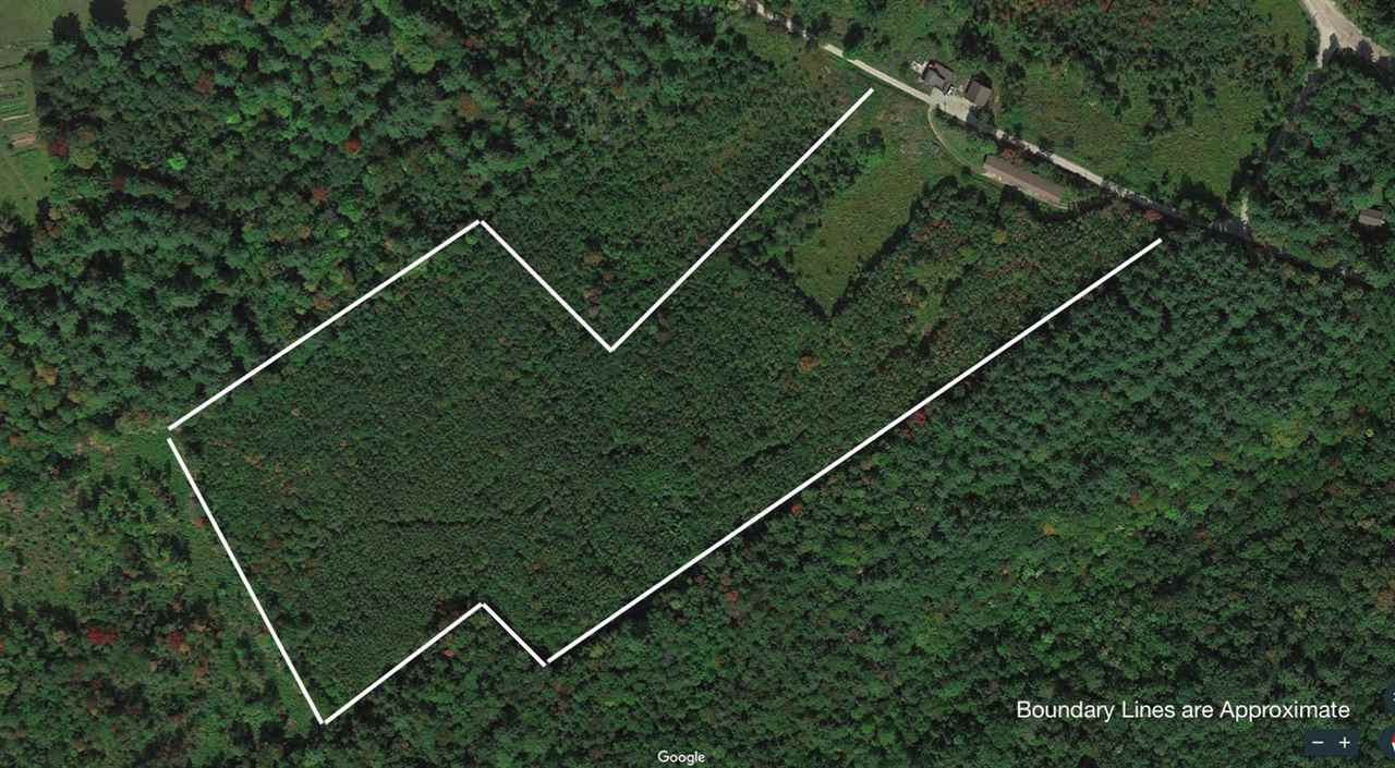 0 Dunlap Road Danbury, NH 03230 - Photo 5 of 11
