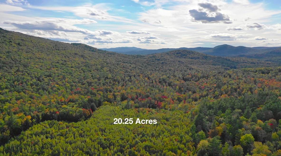 0 Dunlap Road Danbury, NH 03230 - Photo 8 of 11