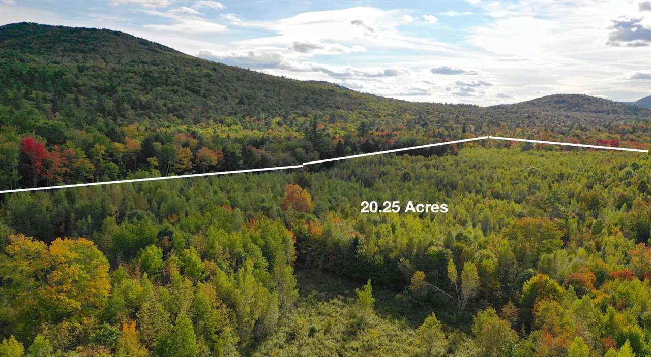 0 Dunlap Road Danbury, NH 03230 - Photo 9 of 11