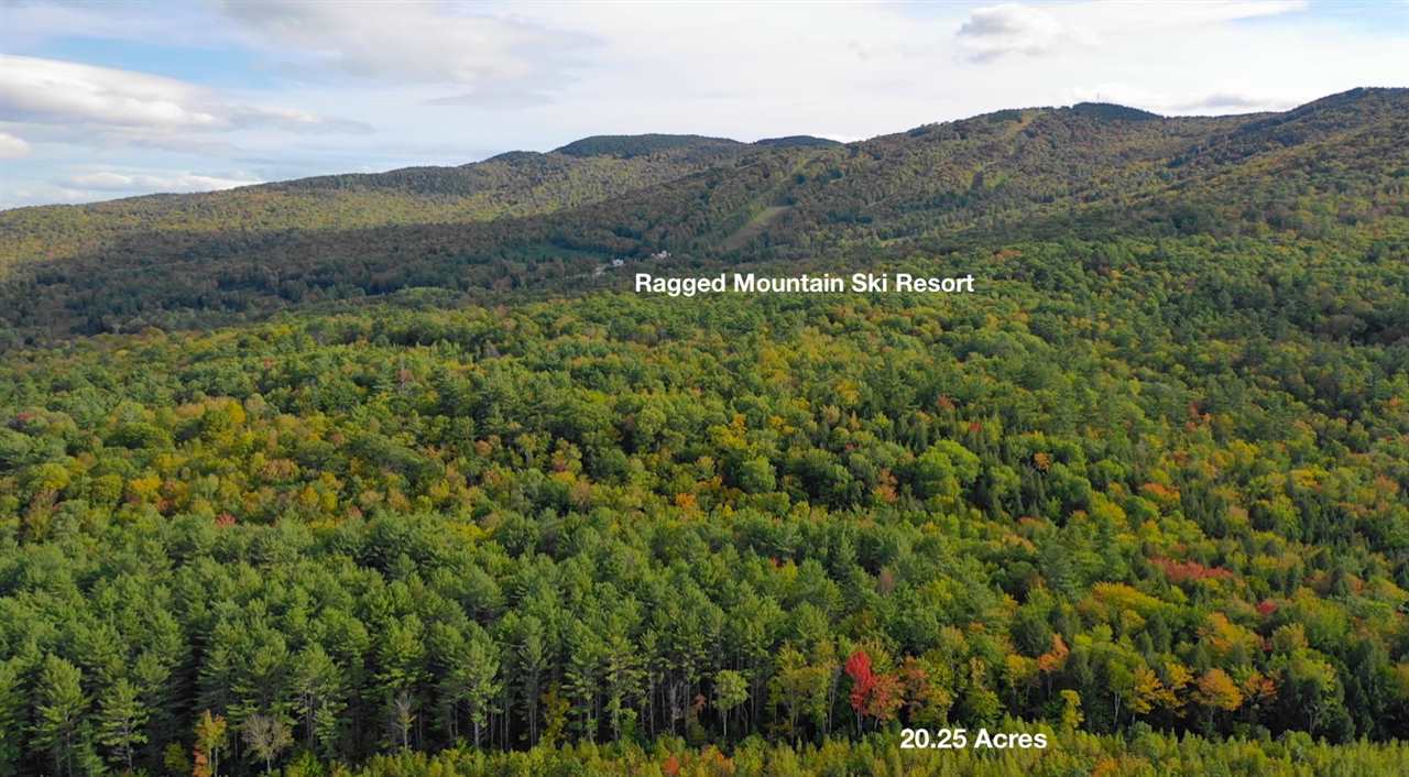 0 Dunlap Road Danbury, NH 03230 - Photo 10 of 11