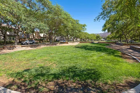 a view of a park with large trees