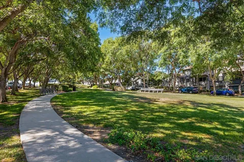 a garden view with a fountain