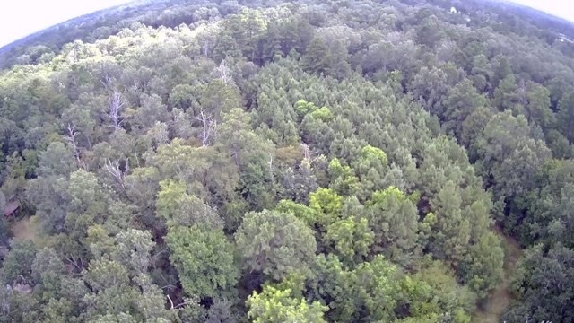 844 Pd Selman Road Lufkin, TX 75901 - Photo 2 of 6