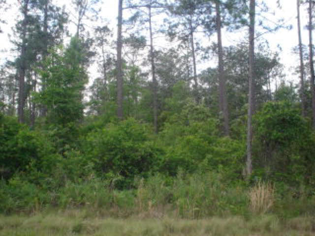0 Holbrook Lane Loxley, AL 36551 - Photo 1 of 1