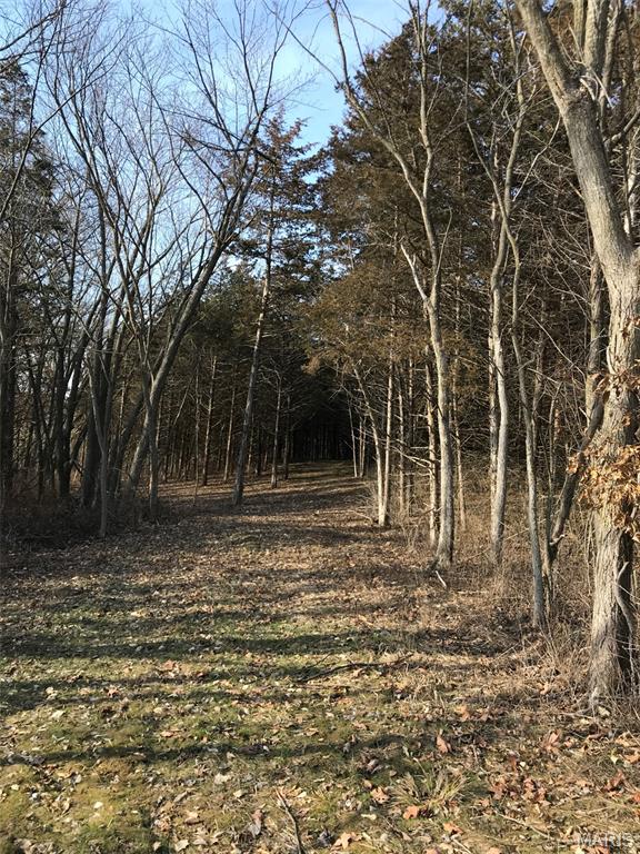 13 Red Oak Road Maywood, MO 63454 - Photo 2 of 7