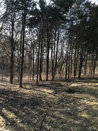 $55,000 | 13 Red Oak Road, Maywood, MO 63454