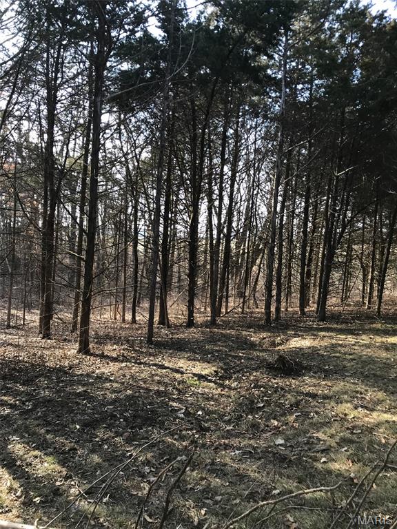 13 Red Oak Road Maywood, MO 63454 - Photo 4 of 7