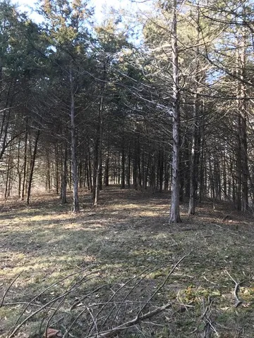 $55,000 | 13 Red Oak Road, Maywood, MO 63454