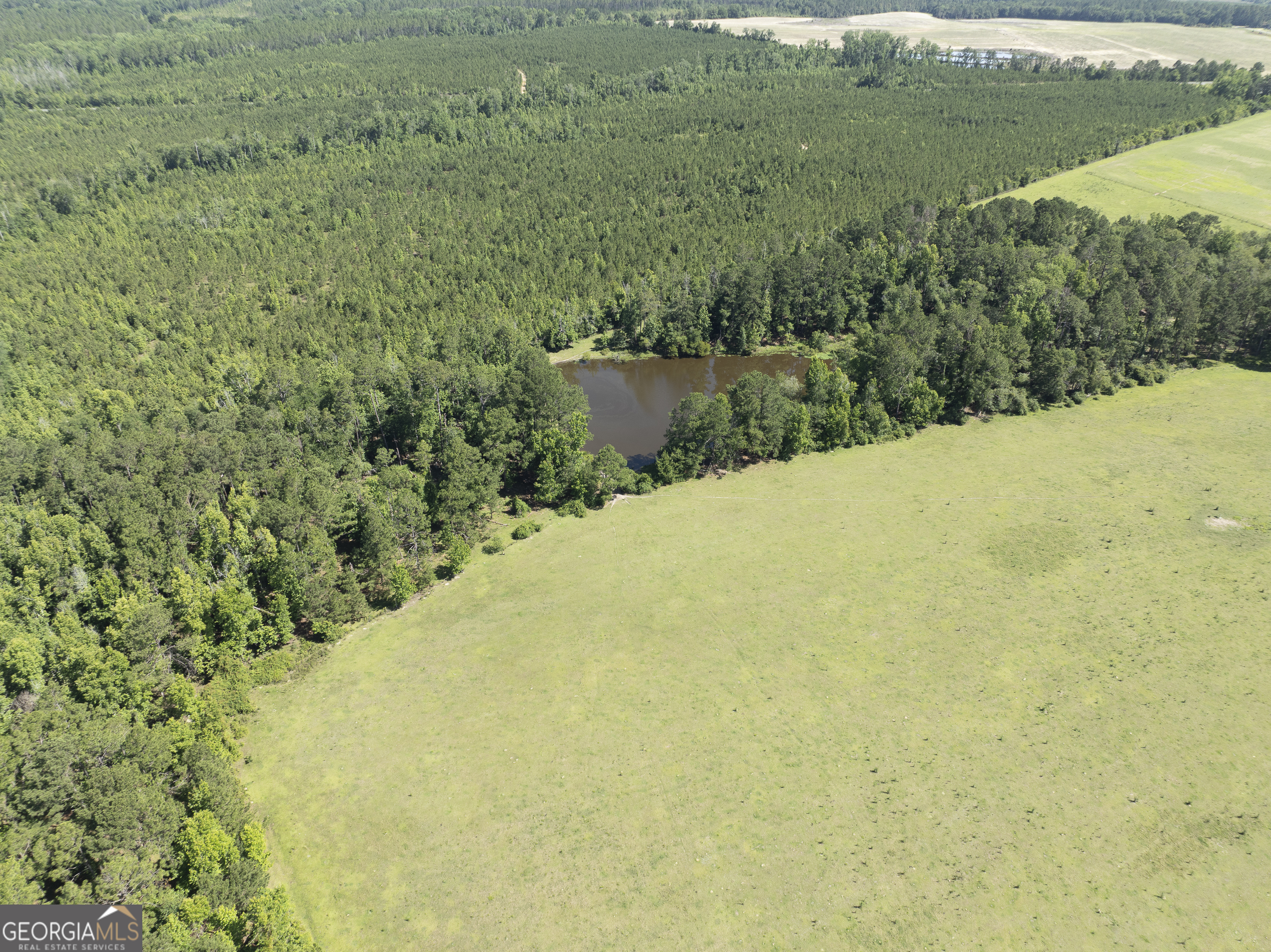 3349 A Scotland Road Alamo, GA 30411 - Photo 15 of 29