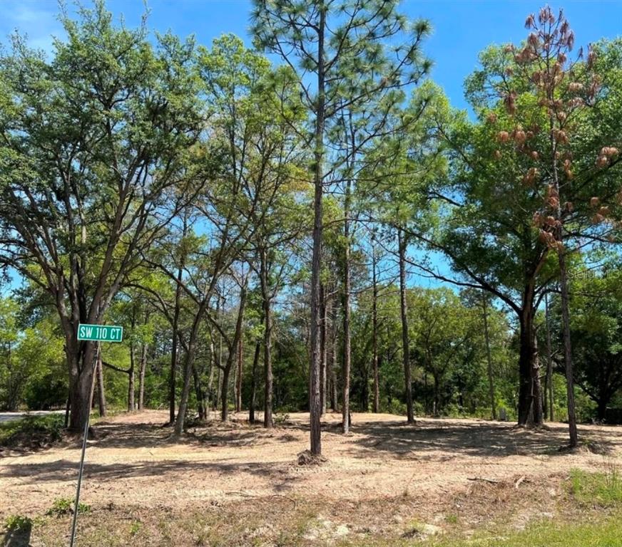 Southwest 110th Court Dunnellon, FL 34432 - Photo 2 of 9