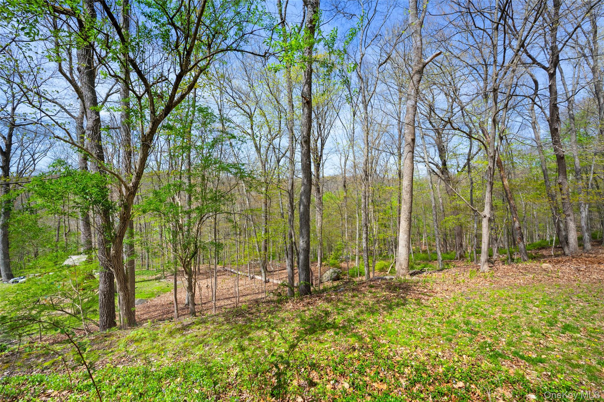 116 Allison Road Katonah, NY 10536 - Photo 21 of 25 Back Yard