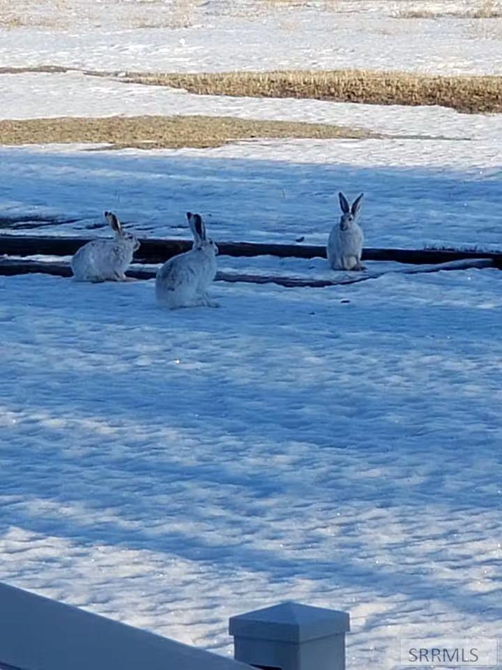 4563 East 75 North Rigby, ID 83442 - Photo 35 of 45