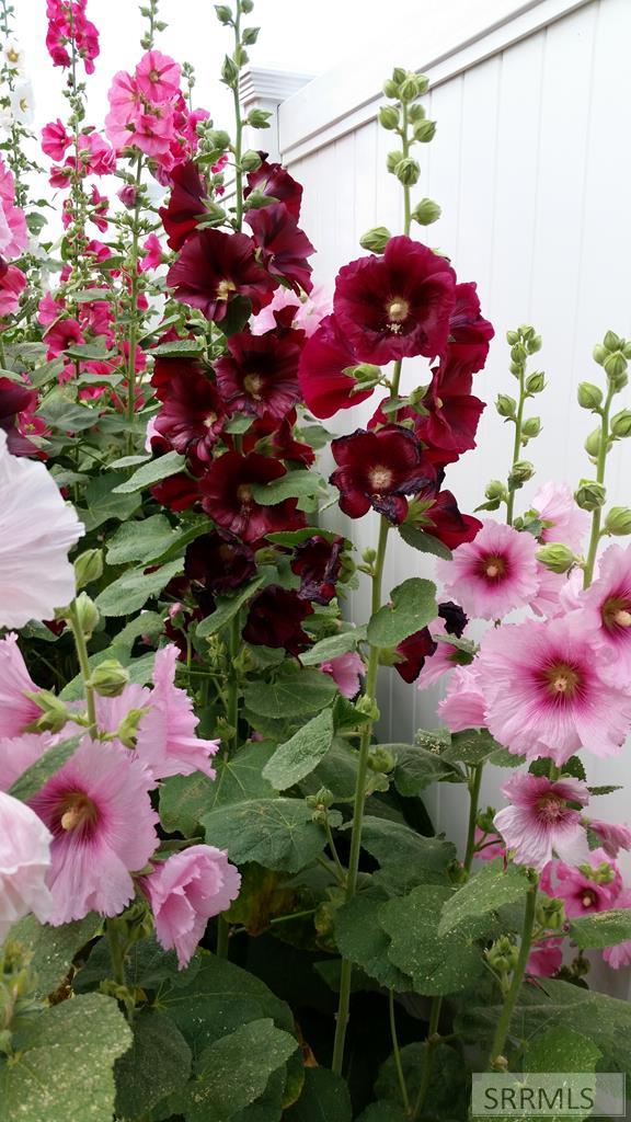 4563 East 75 North Rigby, ID 83442 - Photo 39 of 45