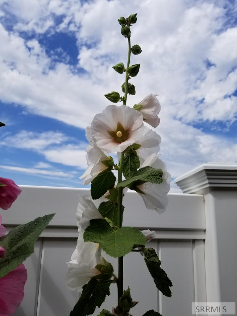 4563 East 75 North Rigby, ID 83442 - Photo 42 of 45