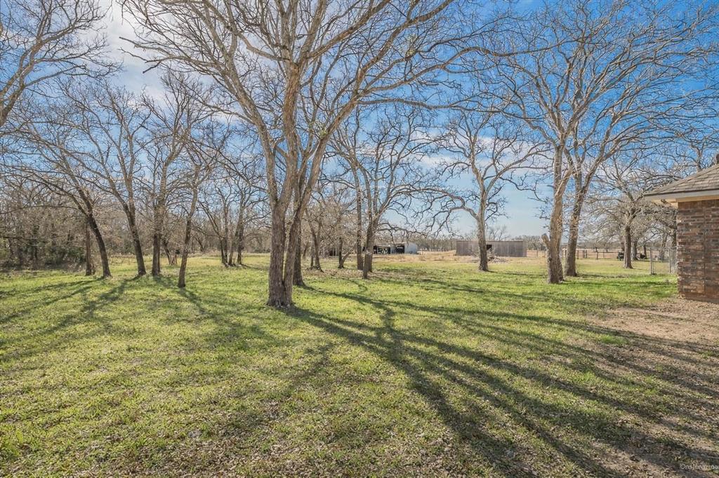 1325 North Katy Road Elm Mott, TX 76640 - Photo 22 of 30 a view of a trees in a park