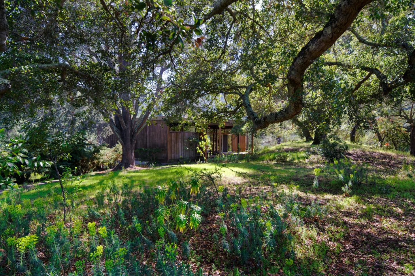 26969 Moody Road Los Altos Hills, CA 94022 - Photo 4 of 52 a backyard of a house with lots of green space