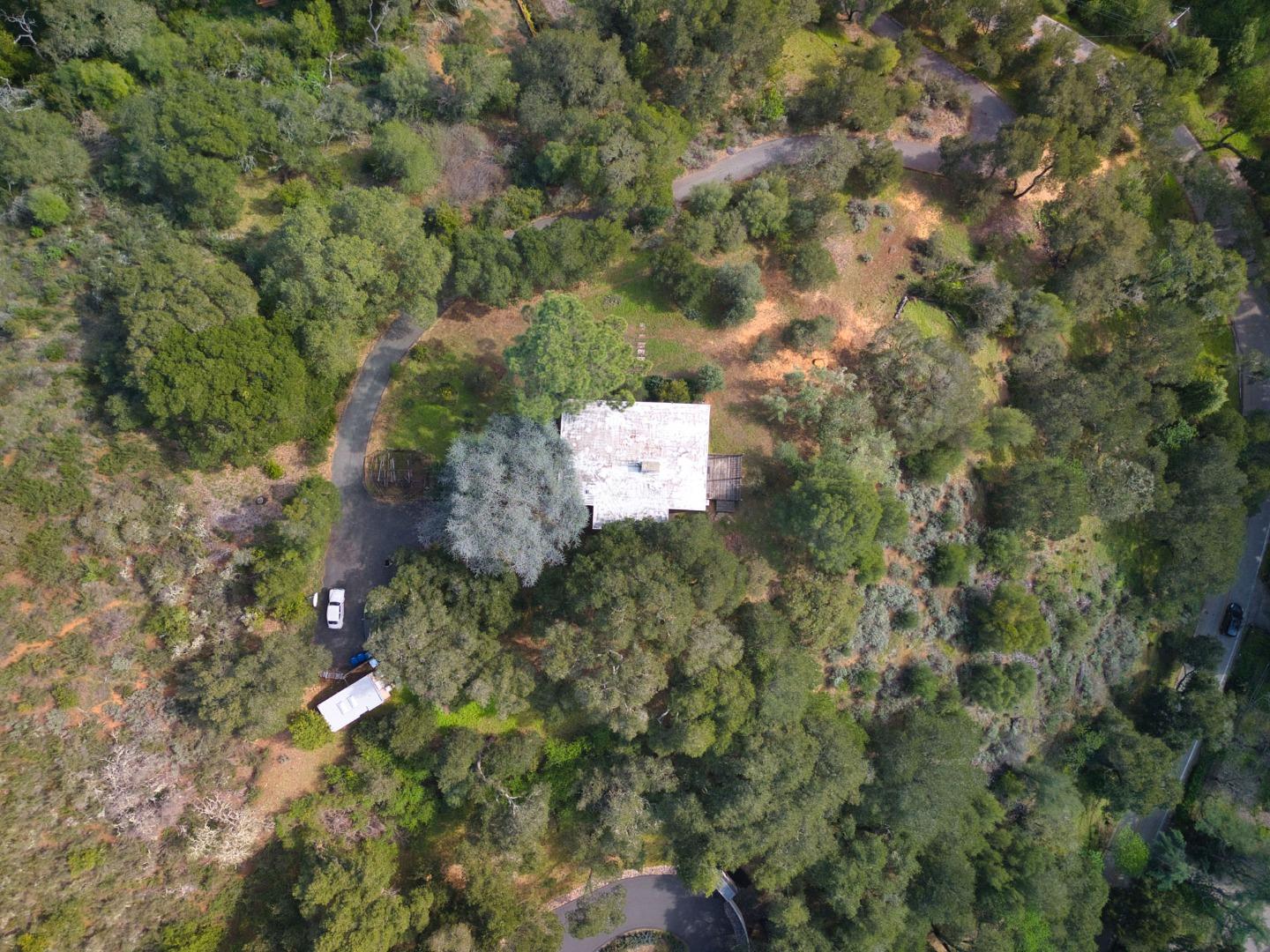 26969 Moody Road Los Altos Hills, CA 94022 - Photo 50 of 52 a close up of a tree