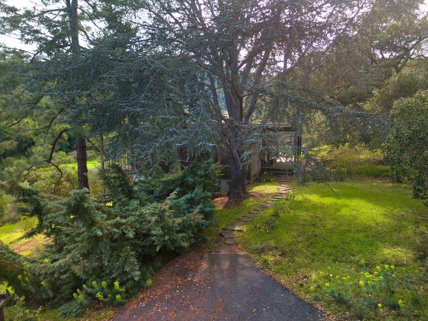26969 Moody Road Los Altos Hills, CA 94022 - Photo 51 of 52 a view of a yard with plants and trees