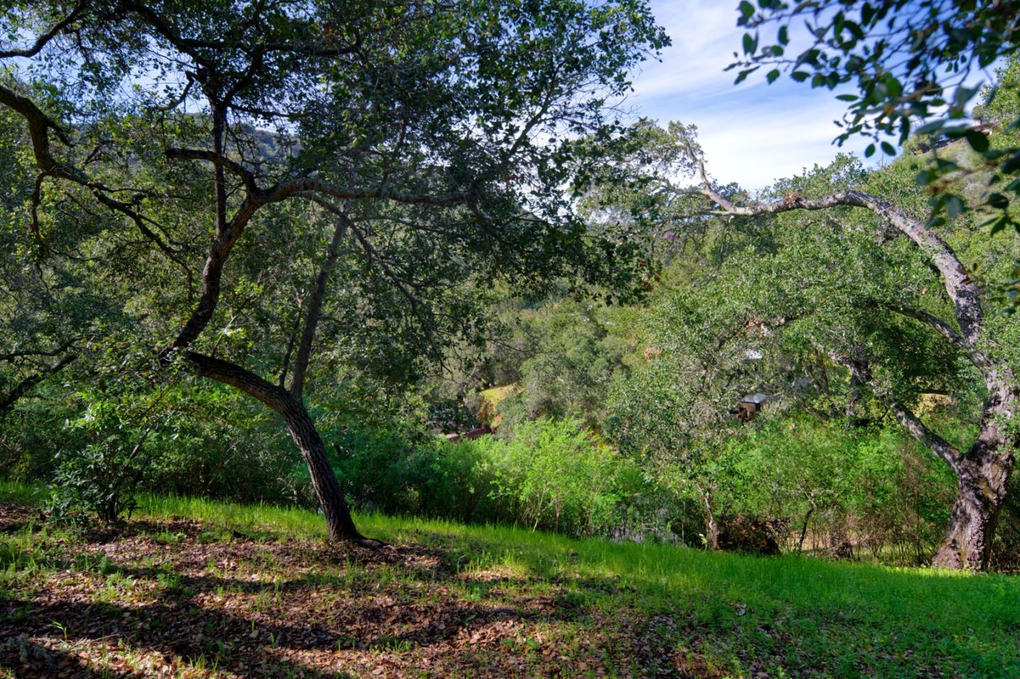 26969 Moody Road Los Altos Hills, CA 94022 - Photo 52 of 52 a big yard with lots of green space