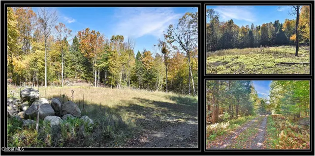 $69,000 | 64 Carriage Knolls Road, Chester, NY 12817