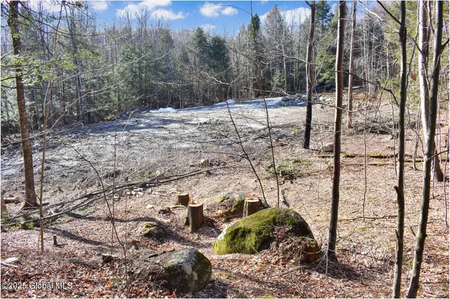 $69,000 | 64 Carriage Knolls Road, Chester, NY 12817