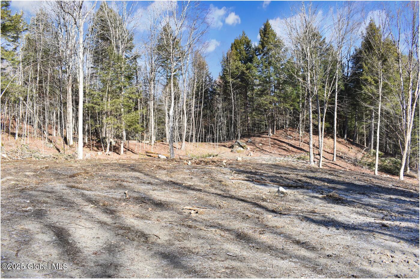 64 Carriage Knolls Road Chester, NY 12817 - Photo 16 of 23 j10