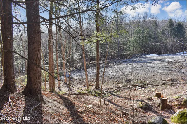 $66,500 | 64 Carriage Knolls Road, Chester, NY 12817