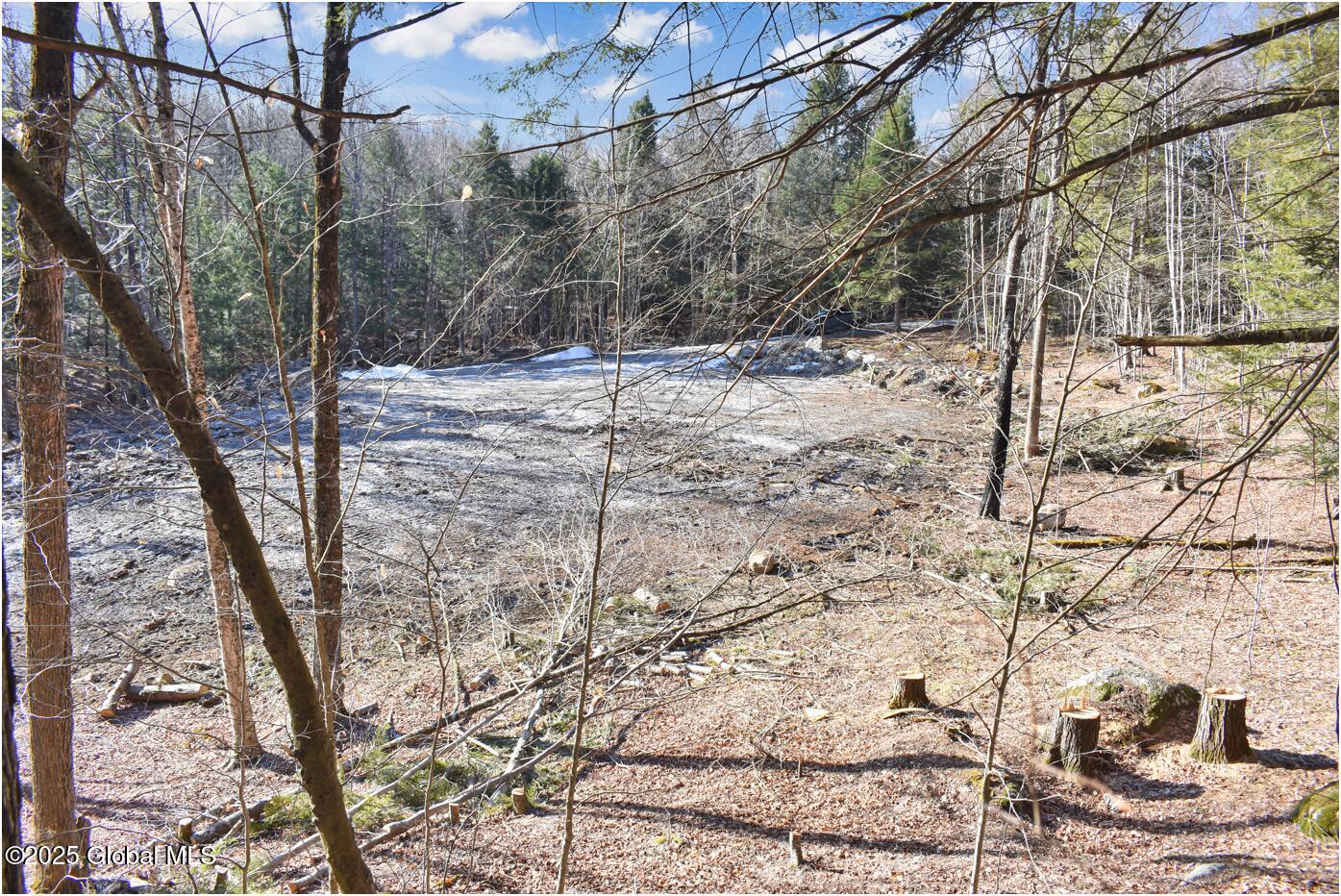 64 Carriage Knolls Road Chester, NY 12817 - Photo 20 of 23 j7