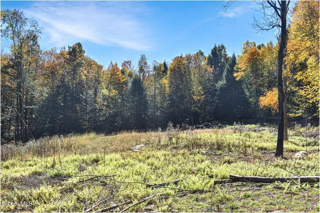 $69,000 | 64 Carriage Knolls Road, Chester, NY 12817