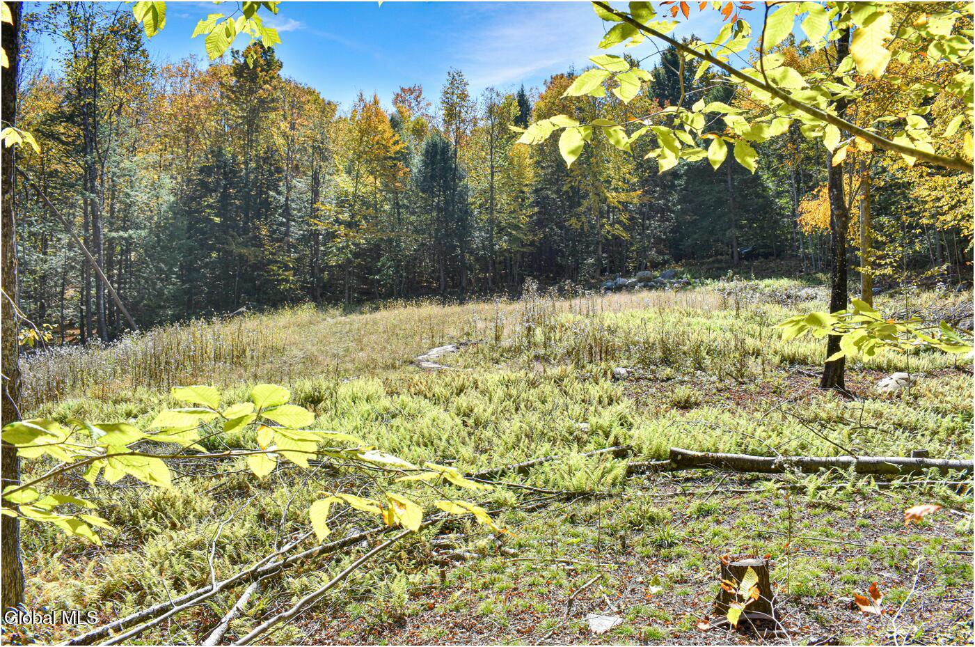 64 Carriage Knolls Road Chester, NY 12817 - Photo 7 of 23 jm1d