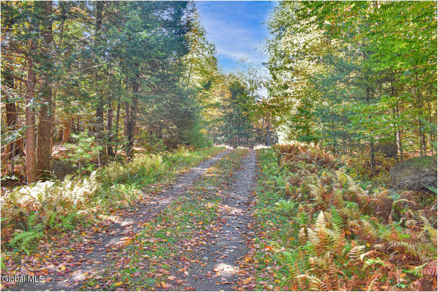 64 Carriage Knolls Road Chester, NY 12817 - Photo 8 of 23 jm1a