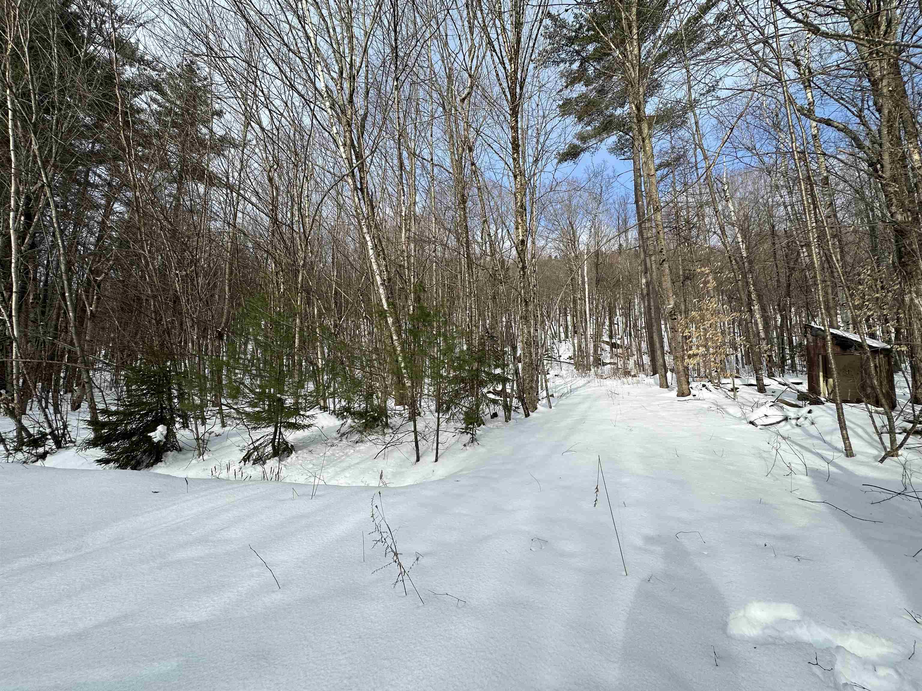 145 Quaker Path Road Wilmot, NH 03287 - Photo 7 of 8 Gallery Image 7