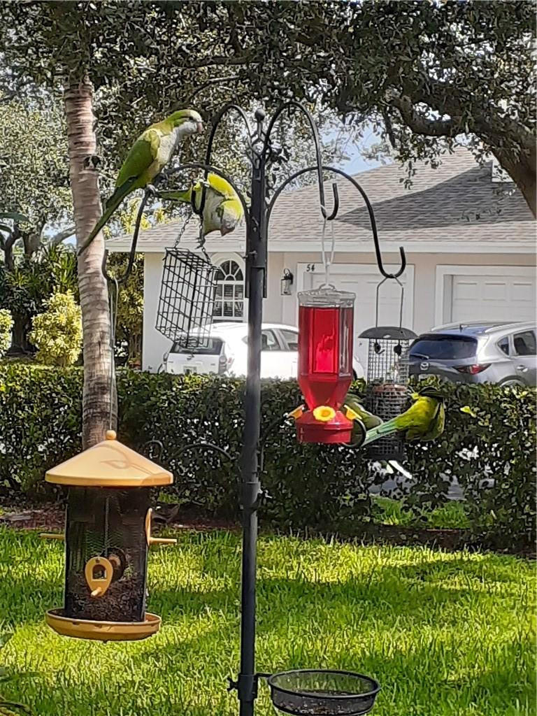 2 Glamis Way, Unit 2 Boynton Beach, FL 33426 - Photo 5 of 19 a view of swimming pool with an outdoor seating